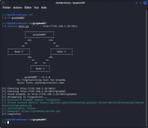 DVGA walkthrough - Zero Day Hacker