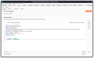 VAmPI walkthrough - Zero Day Hacker